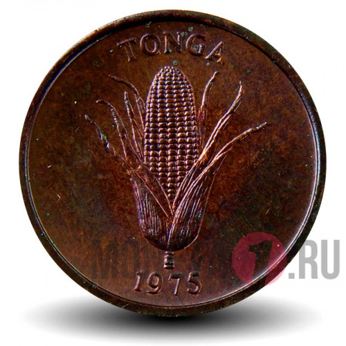 1 сенити 1975 года - FAO - Острова Тонга - Свинья