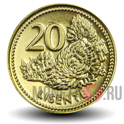20 лисенте 2018 года - Лесото - Цветок