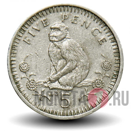 5 пенсов 1990 года - Гибралтар - Обезьяна - АВ