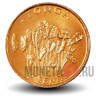2 сенити 2002 года - FAO - Острова Тонга - Растение Таро