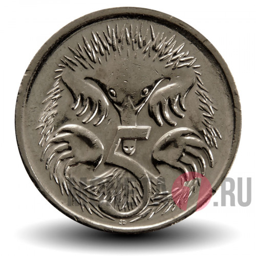 5 центов 2005 года - Австралия - Короткоклювая ехидна