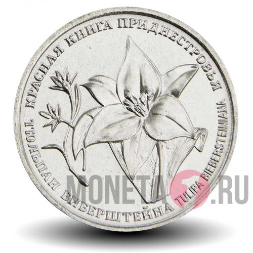 1 рубль 2019 года - Тюльпан Биберштейна - Приднестровье