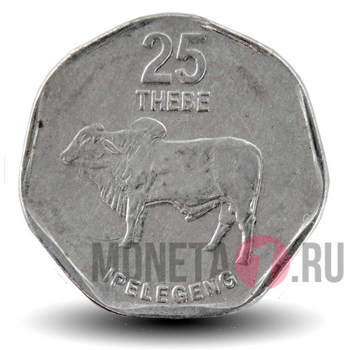 25 тхебе 2009 года - Ботсвана - Бык Брахман