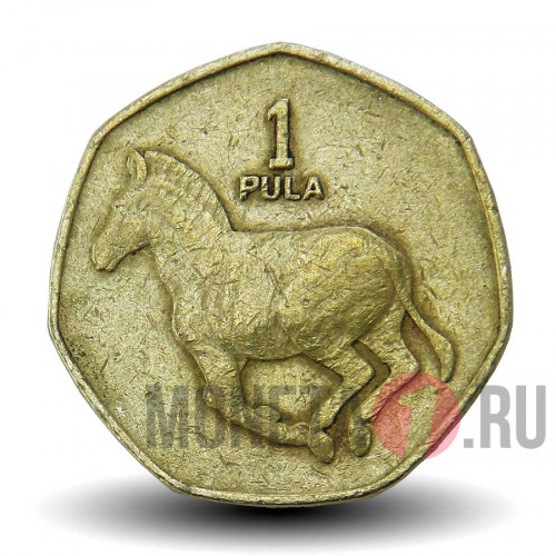 1 пула 1991 года - Ботсвана - Зебра 