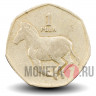 1 пула 1991 года - Ботсвана - Зебра 