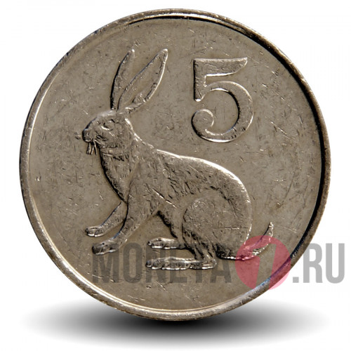 5 центов 1999 года - Зимбабве - Кролик