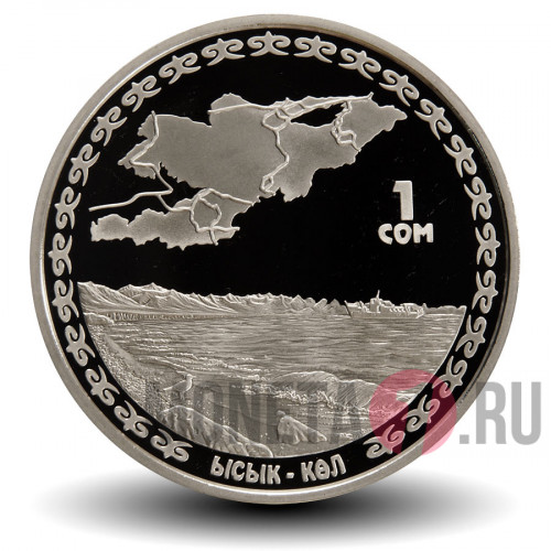 1 сом 2009 года - Иссыккуль - Киргизия