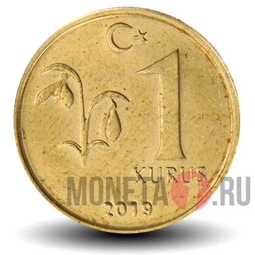 1 куруш 2019 года - Турция