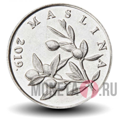 20 лип 2019 года - Хорватия - Олива европейская