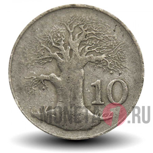 10 центов 1980 года - Зимбабве - Баобаб