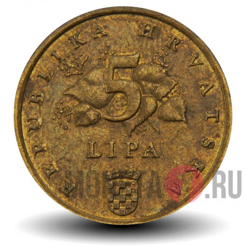 5 лип 2008 года - Хорватия - Дуб черешчатый