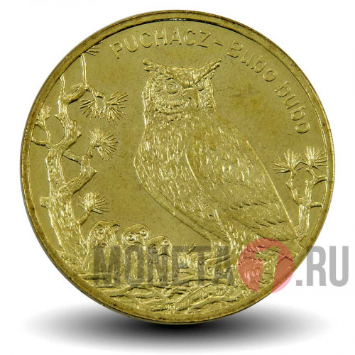2 злотых - Филин - Животный мир - 2005 год