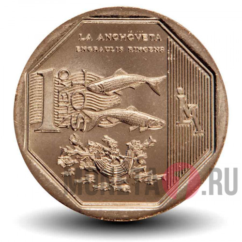 1 Nuevo Sol - Анчоус - 2013 год - Перу