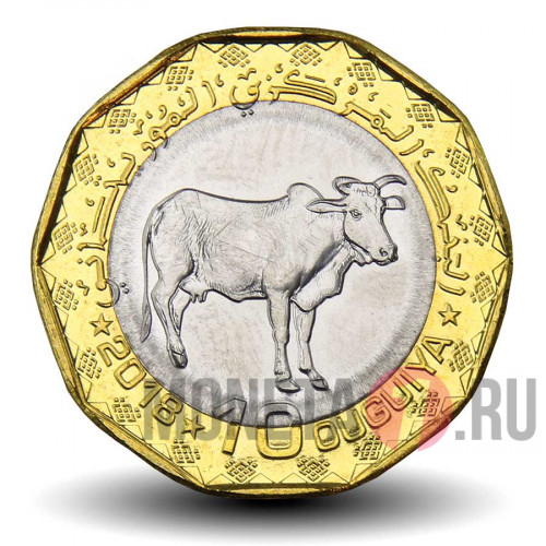 10 угий 2018 года - Мавритания - Корова