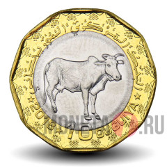 10 угий 2018 года - Мавритания - Корова