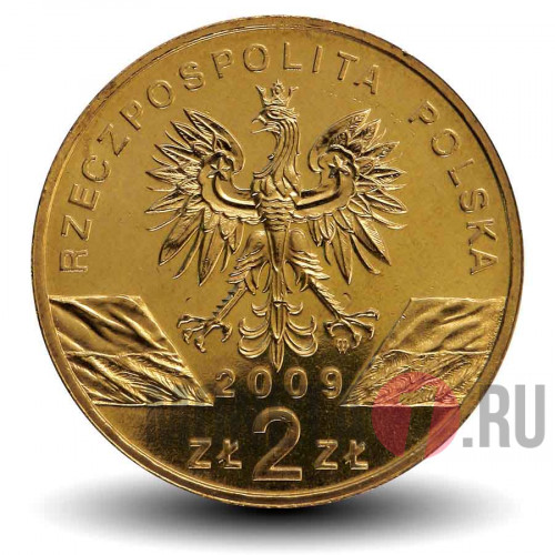 2 злотых - Зеленая ящерица - Животный мир - 2009 год