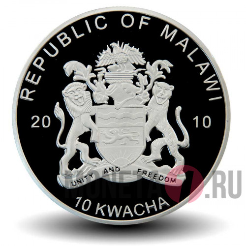 10 квача 2010 года - Мадагаскарский орлан - Малави