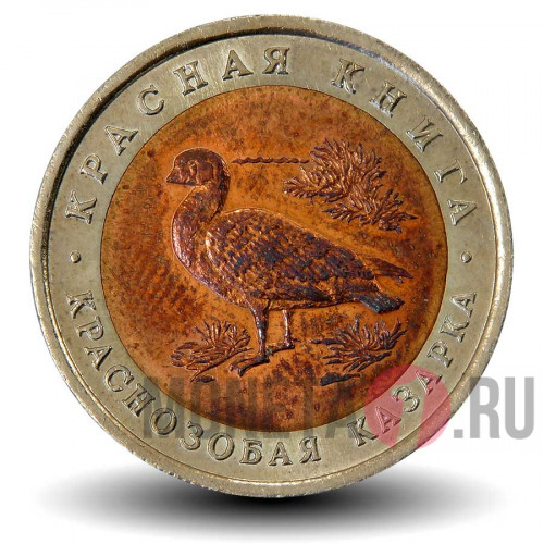 10 рублей 1992 года - Краснозобая казарка - Красная книга - Банк России