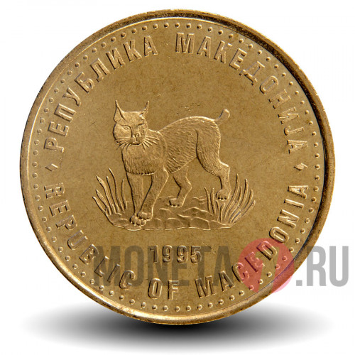 5 денари 1995 года - FAO - Рысь - Македония