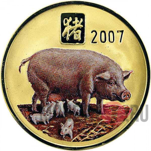 20 Вон 2007 года - Год Свиньи - КНДР, Большая монета