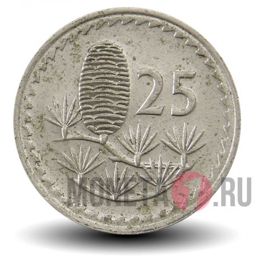 25 милей 1979 года - Кипр - Кедр