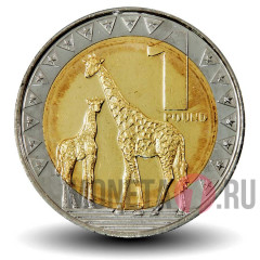 1 фунт 2015 года - Южный Судан - Жирафы