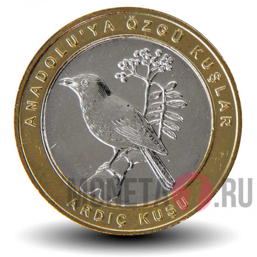 1 куруш 2019 года - Турция - Ardic kusu (20)