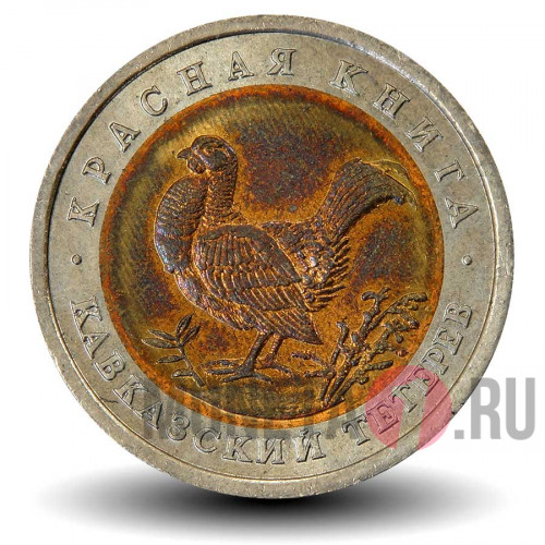 50 рублей 1993 года - Кавказский тетерев - Красная книга - Банк России