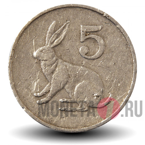 5 центов 1988 года - Зимбабве - Заяц