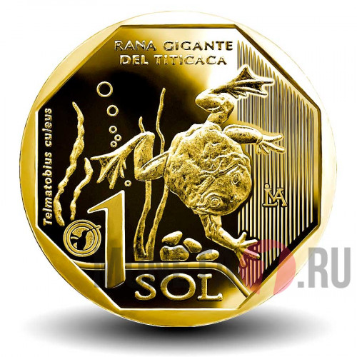 1 соль 2019 года - Лягушка, Титикакский свистун - Перу (красная книга)