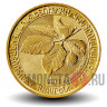 200 драмов 2014 года - Бук Восточный - Fagus Orientalis - Армения