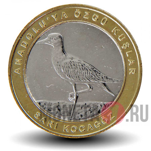 1 куруш 2019 года - Турция - Sari kocagoz (15)