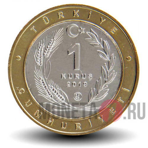 1 куруш 2019 года - Турция - Sari kocagoz (15)