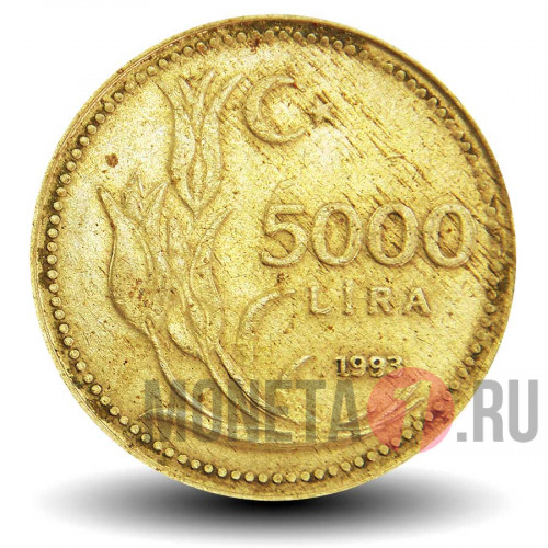 5000 лир 1993 года - Турция