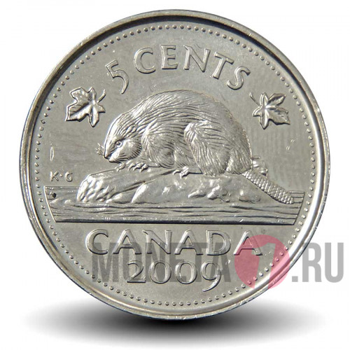 5 центов 2009 года - Канада - Бобр