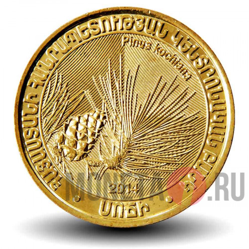 200 драмов 2014 года - Сосна Коха - Pinus kochiana - Армения