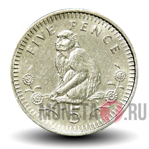 5 пенсов 1991 года - Гибралтар - Обезьяна
