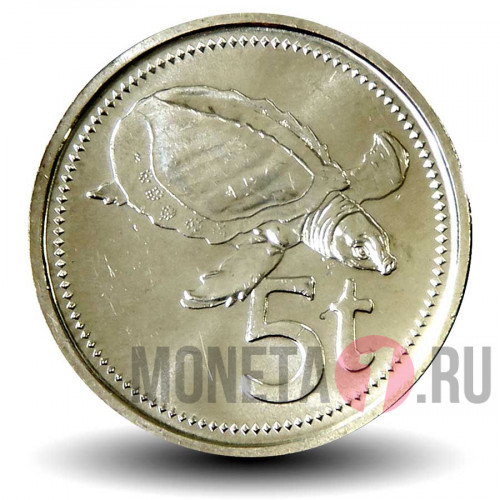 5 тойя 2010 года - Папуа - Новая Гвинея - Двухкоготная черепаха