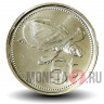 5 тойя 2010 года - Папуа - Новая Гвинея - Двухкоготная черепаха