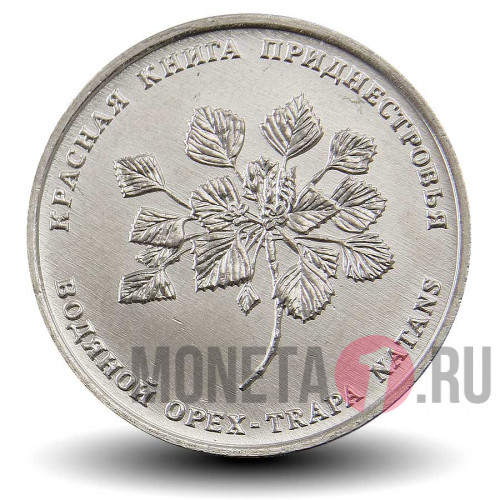 1 рубль 2019 года - Водяной орех - Приднестровье