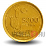 5000 лир 1996 года - Турция - Ататюрк Мустафа Кемаль