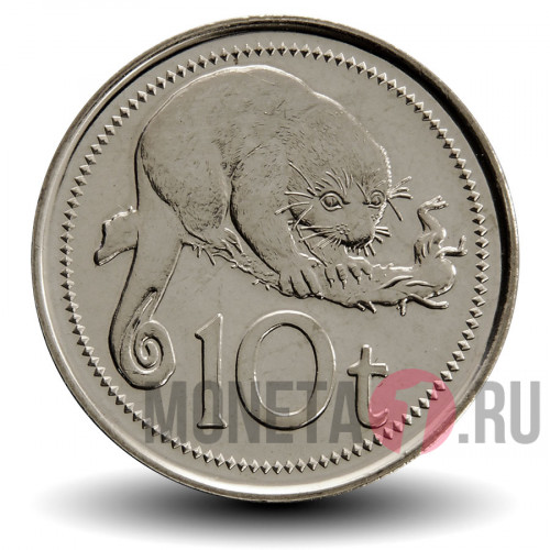 10 тойя 2006 года - Папуа - Новая Гвинея - Кускус