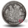 50 эскудо 1994 года - Кабо-Верде - Астерискус - UNC