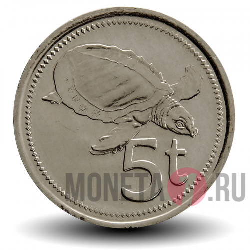 5 тойя 2005 года - Папуа - Новая Гвинея - Двухкоготная черепаха
