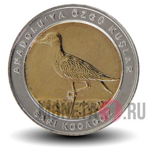 1 куруш 2019 года - Турция - Sari kocagoz (3)