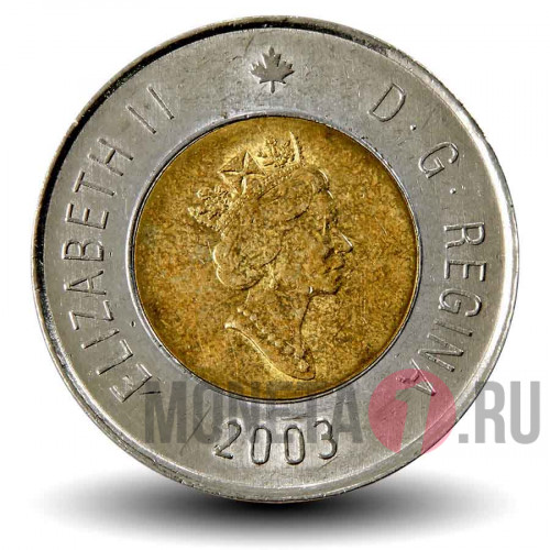 2 доллара 2003 года - Канада - Белый медведь