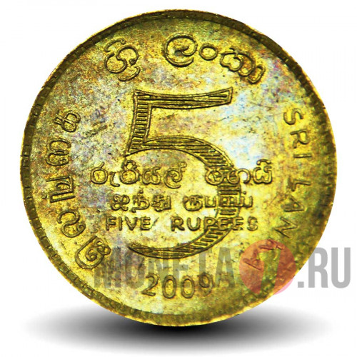 5 рупий 2009 года - Шри-Ланка - без точек между "CBSL"