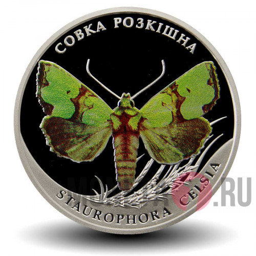 2 гривны 2020 года - Совка роскошная - Украина