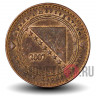10 фенингов 2007 года - Босния и Герцеговина