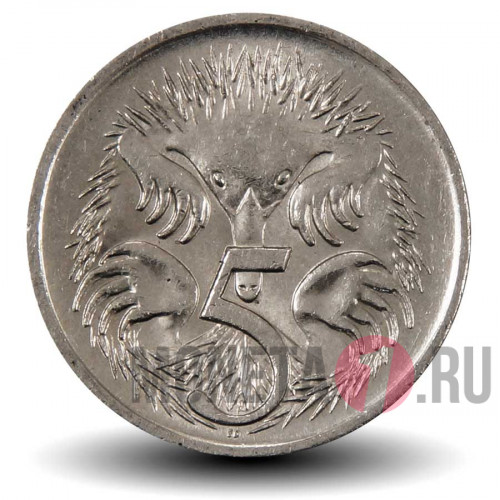 5 центов 1999 года - Австралия - Короткоклювая ехидна